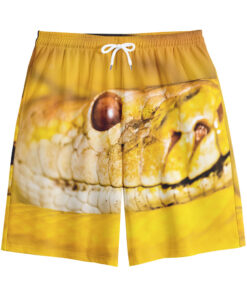 Yellow Python Snake Print Cotton Shorts