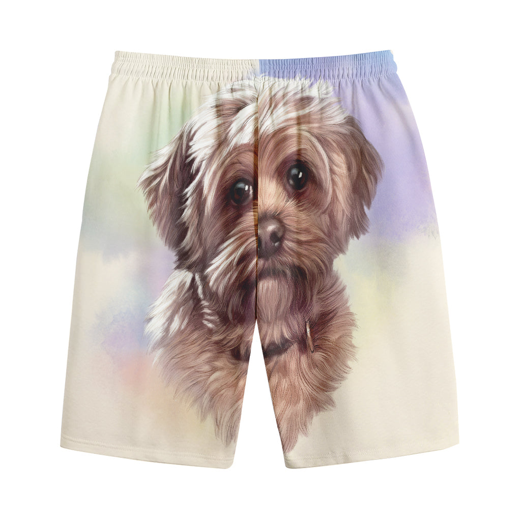 Yorkshire Terrier Portrait Print Cotton Shorts Yorkshire Terrier Portrait Print Cotton Shorts